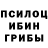 Галлюциногенные грибы Psilocybine cubensis Atsusi Nakajima