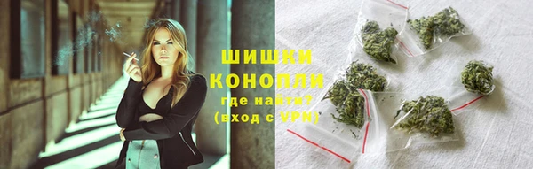 МДПВ Краснослободск