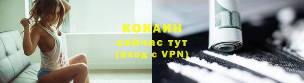 МДПВ Краснослободск