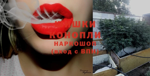 МДПВ Краснослободск